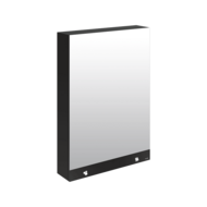 510207-Armoire miroir 3 fonctions