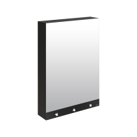 510205-Armoire miroir 4 fonctions