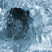 Chasse directe : la réponse adaptée aux problématiques des lieux publics